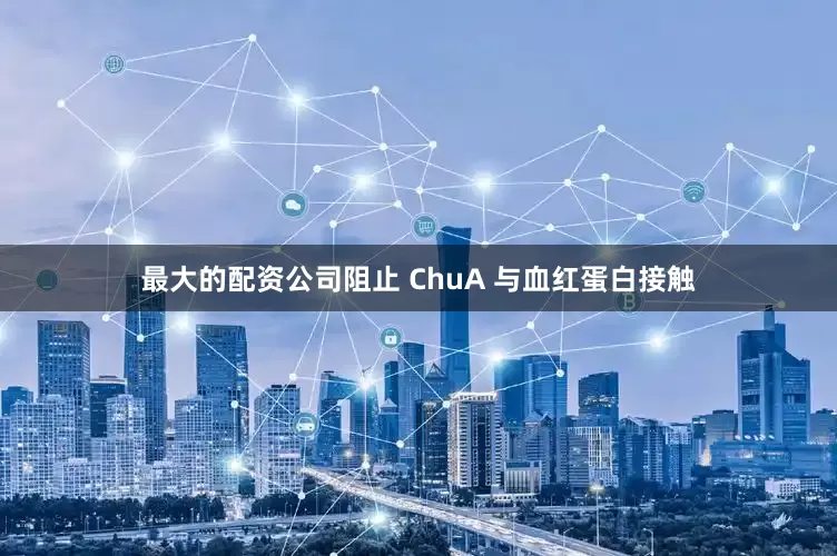 最大的配资公司阻止 ChuA 与血红蛋白接触